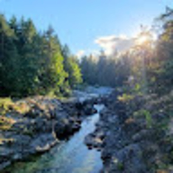 Meet your Posher, Dylan - Picture 1 of 1